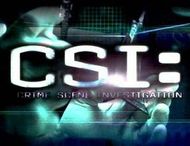 Новые лица в виртуальной CSI