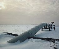 Российская Арктика содержит 100 млрд тонн нефти и газа