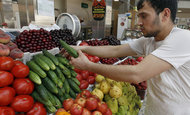 Россия разрешила импорт овощей из шести стран ЕС