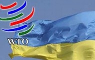 Украине нужно перейти из ВТО в ТС ради дешевого газа